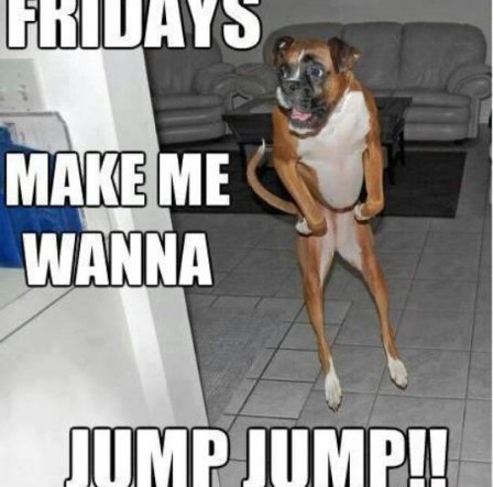 boxer meme tgif crossfit dnr fort collins co