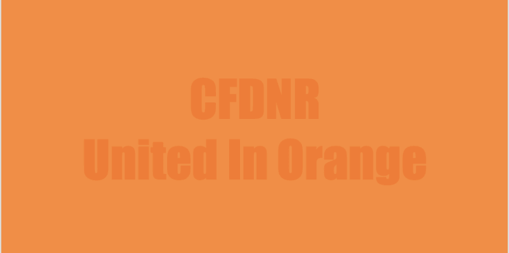 United In Orange CrossFit DNR Fort Collins Colorado