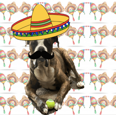 Cinco-De-Klydo-Cinco-De-Bestmode-CrossFit-DNR-Fort-Collins-