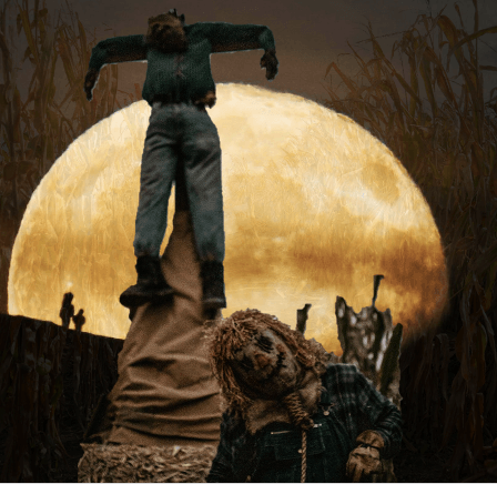 CrossFit DNR Halloween Community Event Best Gym In Fort Collins Best Gym In NoCo