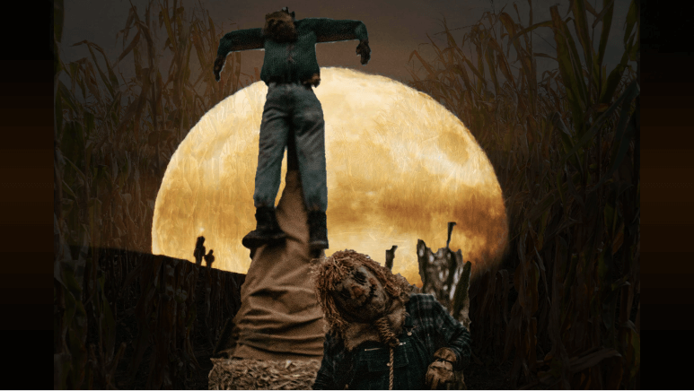 CrossFit DNR Halloween Community Event Best Gym In Fort Collins Best Gym In NoCo