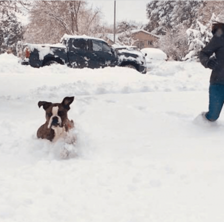 CrossFit DNR Winter Weather Warning 14 inches of snow Best Gym In Fort Collins