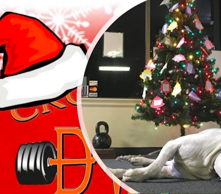 CrossFit DNR Best Gym In Fort Collins Best Gym NoCo Style Magazine 2020, 2021, 2022, 2023 Rocky Mountain Kids Toy Drive