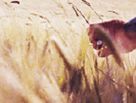 CrossFit DNR Best Gym In Fort Collins Voted Best CrossFit Gym In Northern Colorado, Best Coaches, Best Athletes, Best Facility, Best Programming, Locker Rooms, Showers, InBody Scan, Nutrition Coaching, Bodybuilding, Power Lifting, Olympic Lifting, HITT, Hyrox, 24 hour access