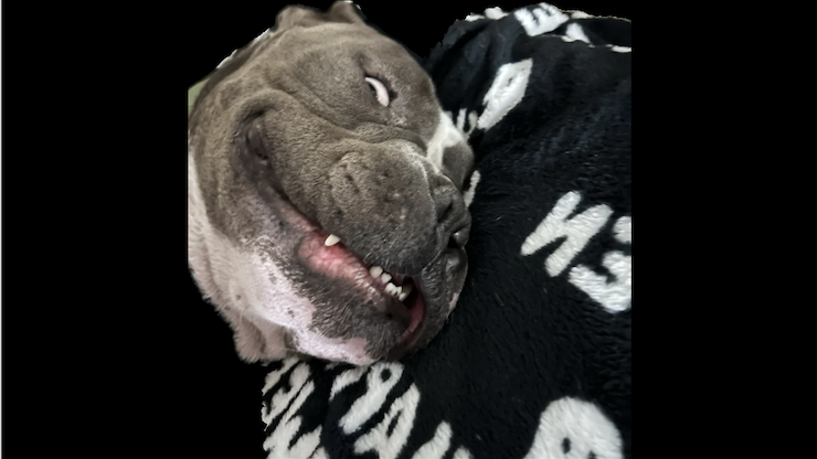 CrossFit DNR Best Gym In Fort Collins Voted Best CrossFit Gym In Northern Colorado, Best Coaches, Best Athletes, Best Facility, Best Programming, Locker Rooms, Showers, InBody Scan, Nutrition Coaching, Bodybuilding, Power Lifting, Olympic Lifting, HITT, Hyrox, 24 hour access